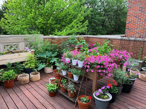 Design Tricks for Balcony Garden21