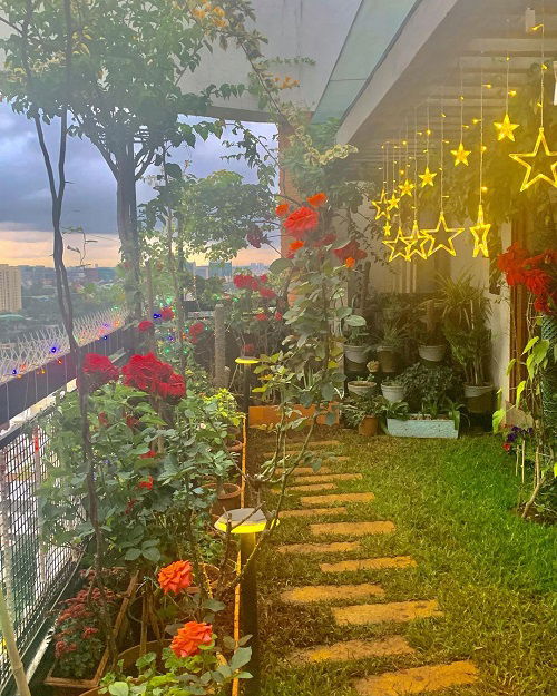 Christmas Balcony Garden