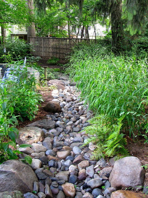 Dry Creek of Stones and Pebbles