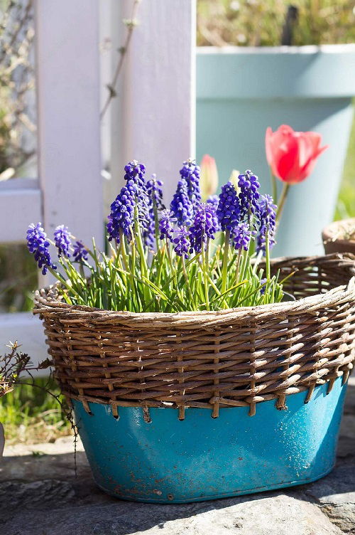 Dark Blue Flowers 1