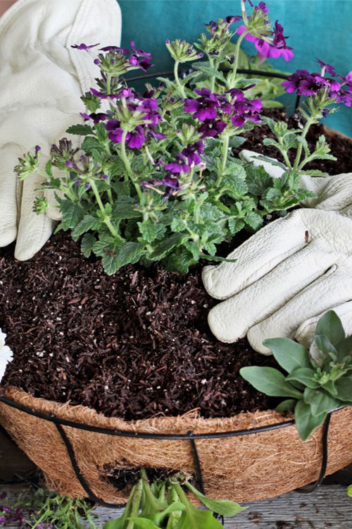 Mulching hanging busket