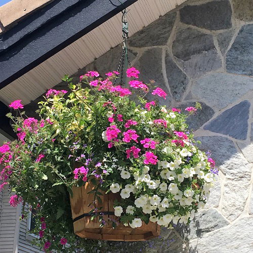 Use Self-Watering Baskets