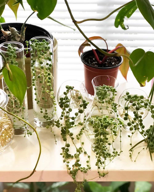 Propagate String of pearls in water